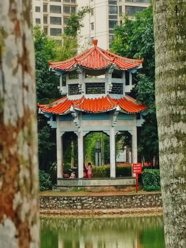 Danzhou | Nancha Park has actually paved a plastic track!