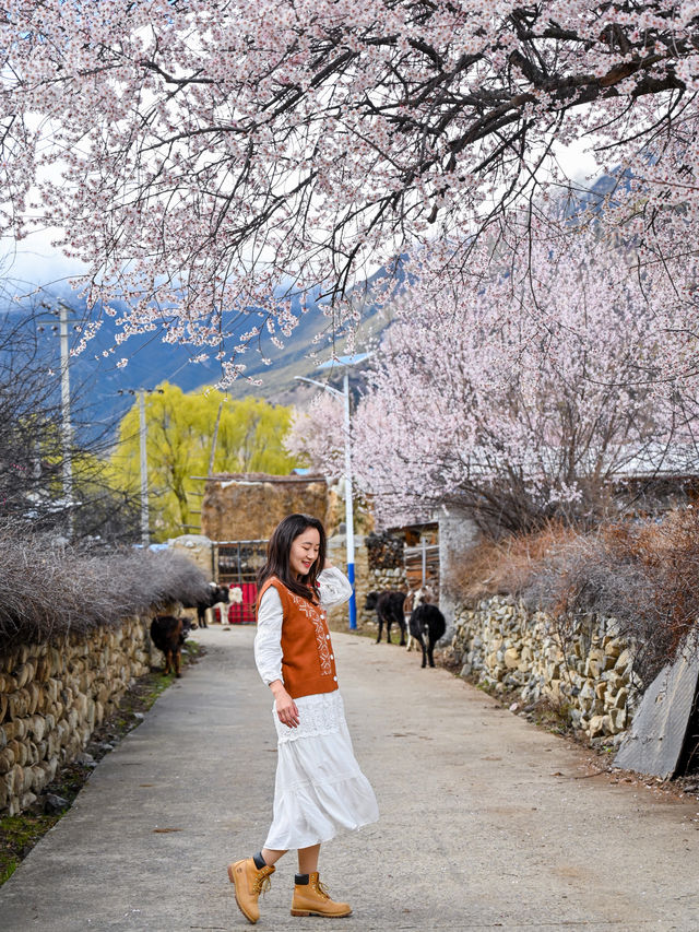 不需要去林芝，藏東也有一片桃花源，人少景美