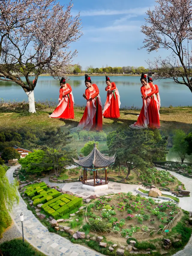 Changshu Travel | A great place for flower appreciation and family trips, Shanghu, you really know how to enjoy the flowers