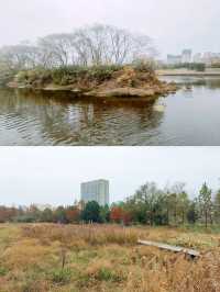 嚴寒中的東陽江濱公園：濕地公園