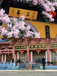南京｜清涼山中清涼寺|||清涼寺位於南京市鼓樓區，始建於南朝