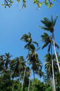 卡塔海灘（Kata Beach）旅遊攻略