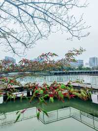 京杭大運河流過嘉興，織成一條華麗的彩帶
