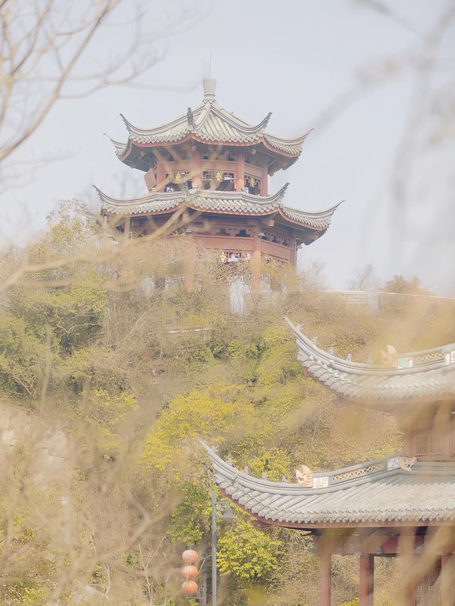 寧波招寶山一日遊不累好拍！適合新手