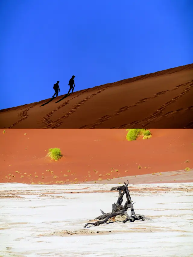 孤独で静かな、力強く広がる——ナミビアの「死の谷」