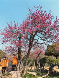 給點陽光就燦爛