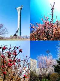 春暖花開時，請來瀋陽城！