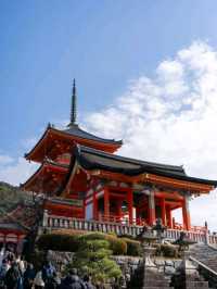 Kyoto Stunning Temple is Worth a Visit 🇯🇵