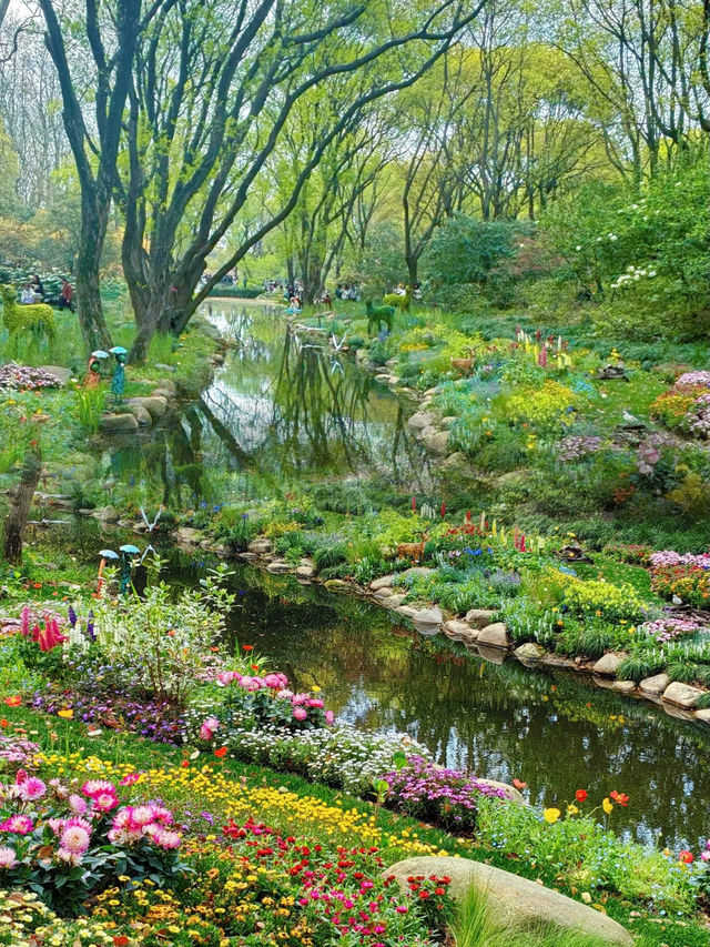 現實版莫奈花園 | 上海共青森林公園