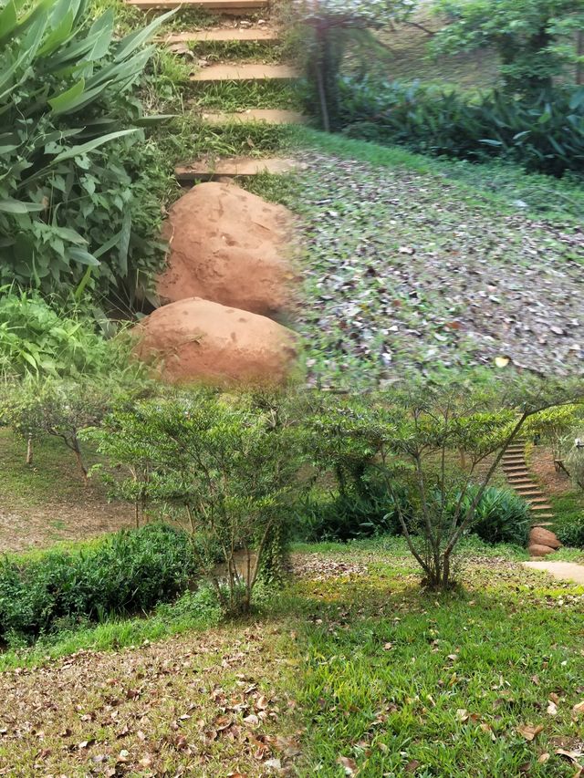 徐聞人民公園最佳遊玩攻略 徐聞人民公園最佳遊玩攻略