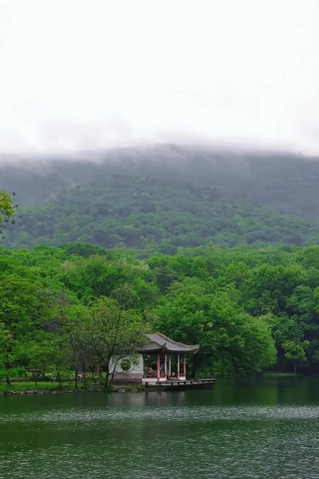 對於南京來說,每一個都是那麼的浪漫