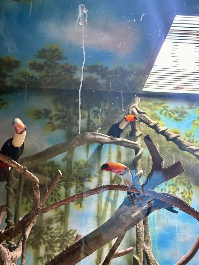 想當飼養員的第n天！！貴州森林野生動物園