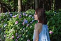 西湖邊的法式繡球小花園