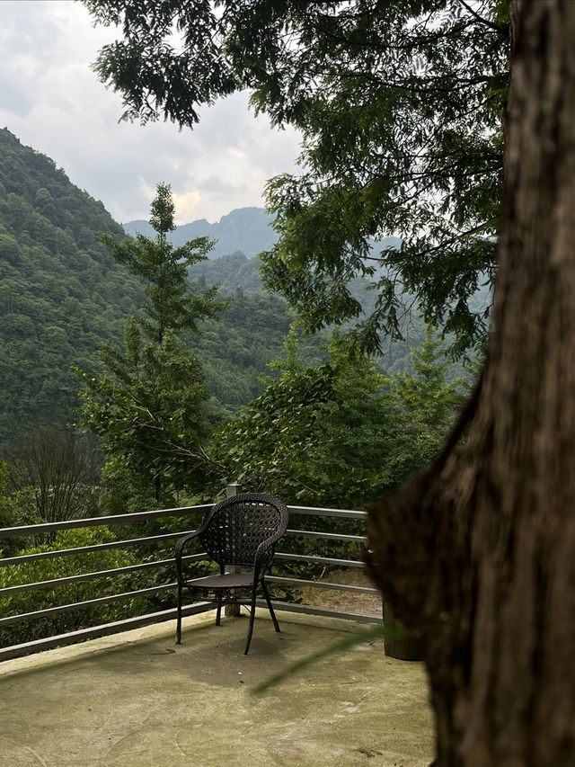 藏在重慶市區的徒步秘境｜森林溪流草坪