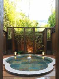 🌟 Hakone's Hidden Gem: Yama No Chaya 🌿🏨