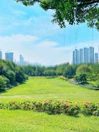 我宣布！ 大沙河生態公園是深圳公園的天花板！