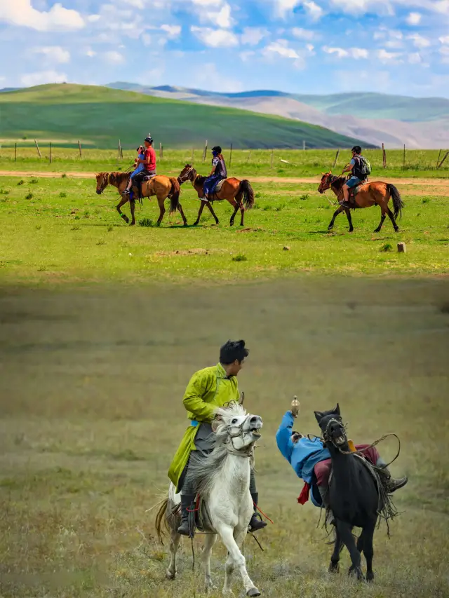 Horseback Riding Tour in Hulunbuir Grassland.
