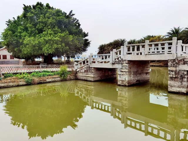 漳州龍海逮美古村 漳州龍海逮美古村