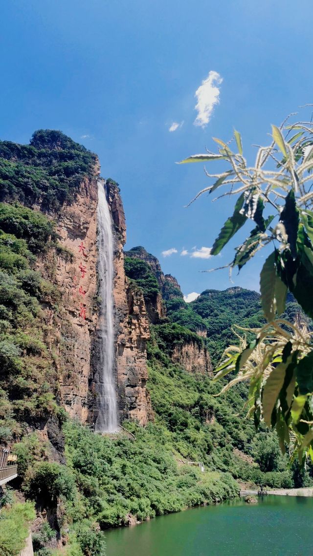 與城市辭別，赴山川之約   吸氧聖地