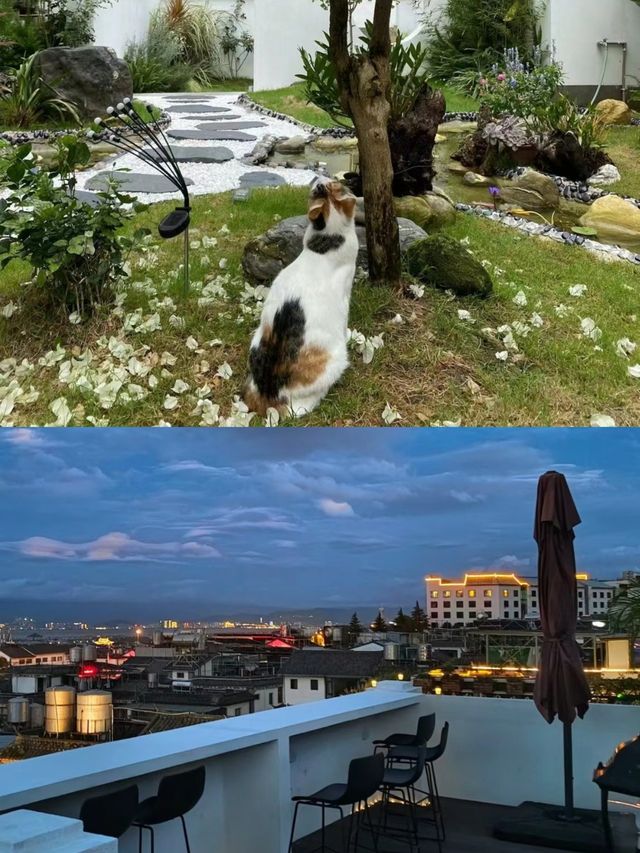 生命就該浪費在這樣的地方