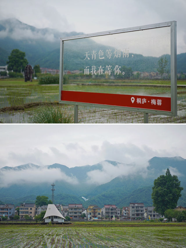 杭州梅雨季的仙境在桐庐｜天青色等烟雨，我在梅蓉村等你