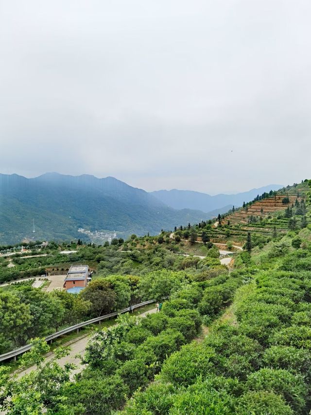 遠方不遠只要心之所向第四十六篇～～梅州三溪恩仔岽