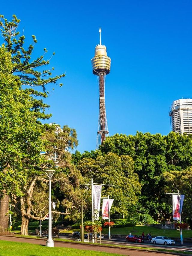 🌟 Luxe Sydney Stays: W Hotel's Urban Oasis 🌃✨