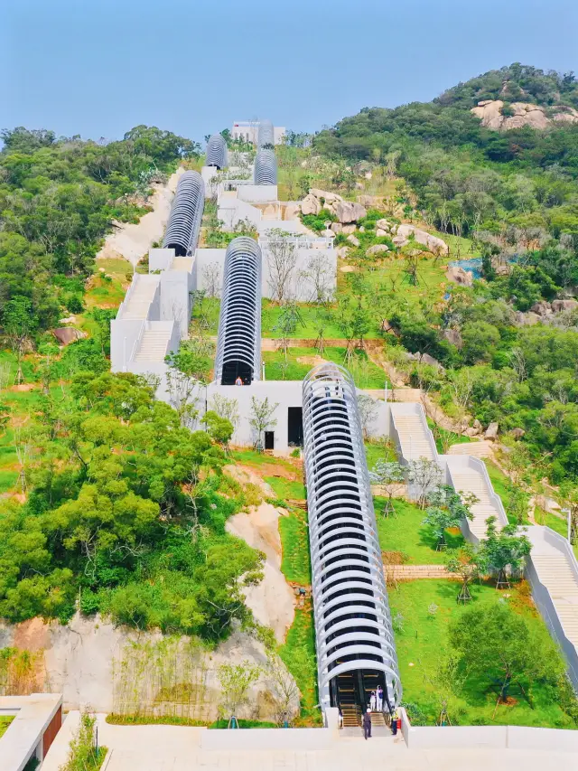 Xiamen Nature Walk, let's go up the mountain and into the sea!