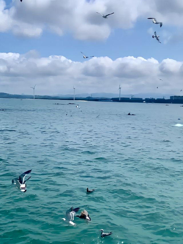 以為威海已經夠美了