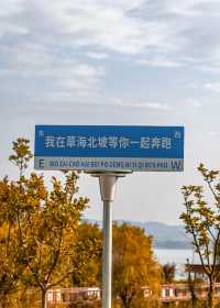 15年等待的候鳥