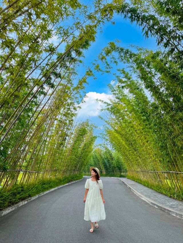 住進風景裡有大草坪有湖泊讓自己慢下來