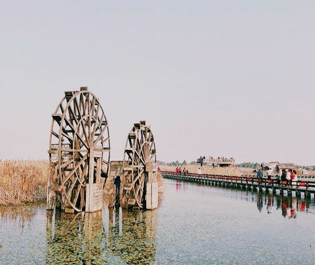 杭州灣濕地公園