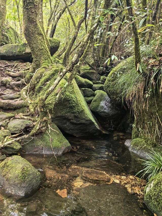 莆田仙遊縣石谷解 | 天然氧吧徒步旅行勝地。