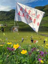 不用遠赴阿勒泰,就來九頂山吧。