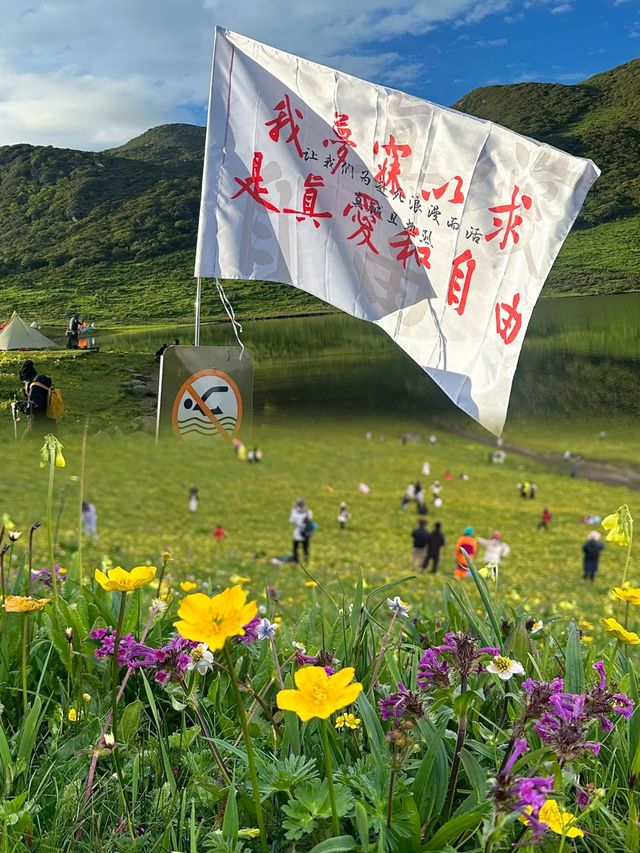 不用遠赴阿勒泰,就來九頂山吧。