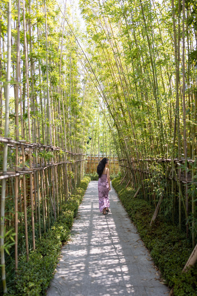 悦椿｜在川西園林中「體驗當下」。