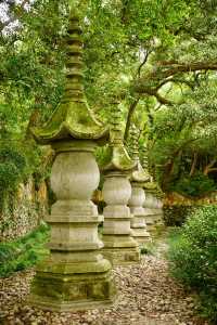 微雨天遊覽國清寺,以下是一些小貼士。