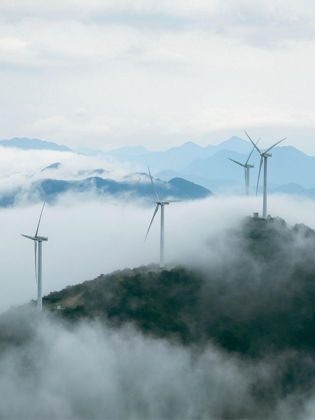 每次登山都能遇到雲海。