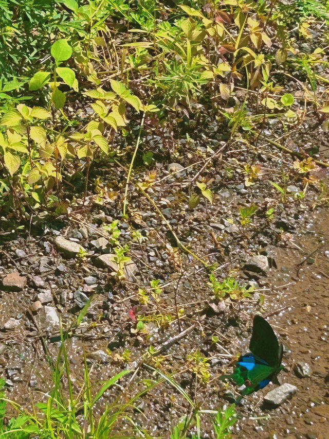 各位朋友！被大自然環抱的古村。。