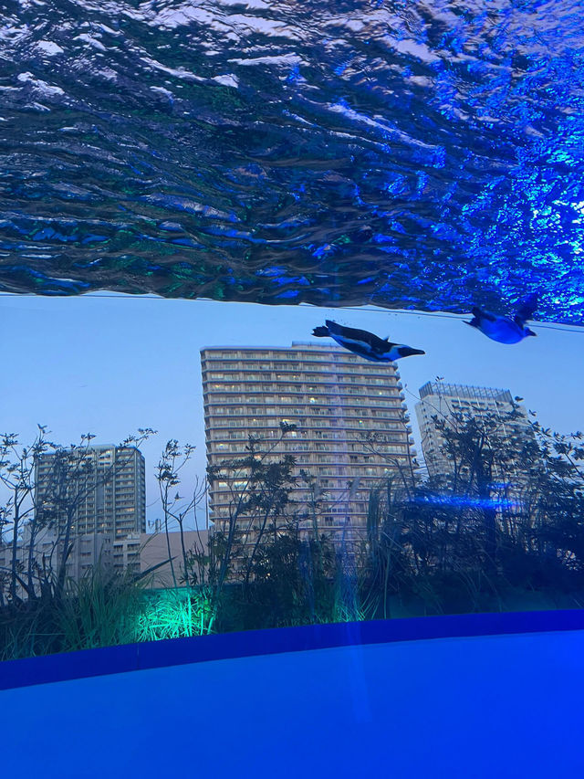池袋｜CITY WALK 的一天。