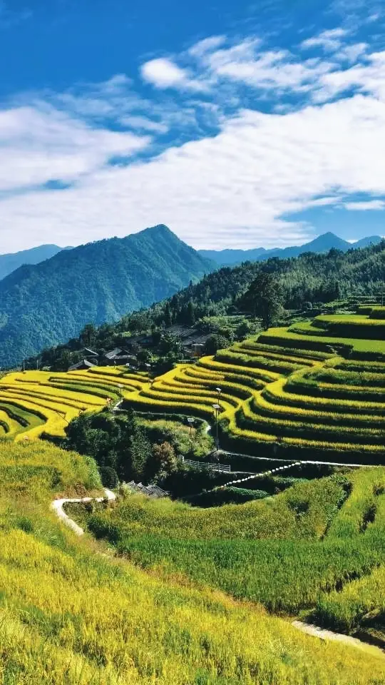 Recommended attraction: Longji Scenic Area.