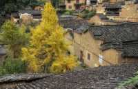 10-12月適合去的6個旅行地,接下來三個月,秋景明艷動人。