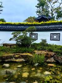 蛻變——和平公園。