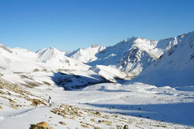 Beautiful Xinjiang, a dreamy journey!