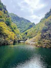 人生是狂野，而非軌道。