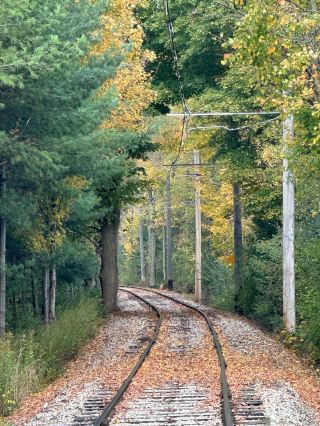 A fairytale autumn near Toronto | Forest Tram Tour.