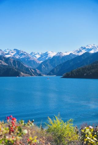 Urumqi Surroundings｜Tianshan Tianchi is more beautiful than the rumors.