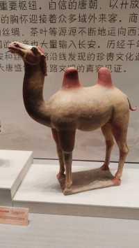 珠海博物館。