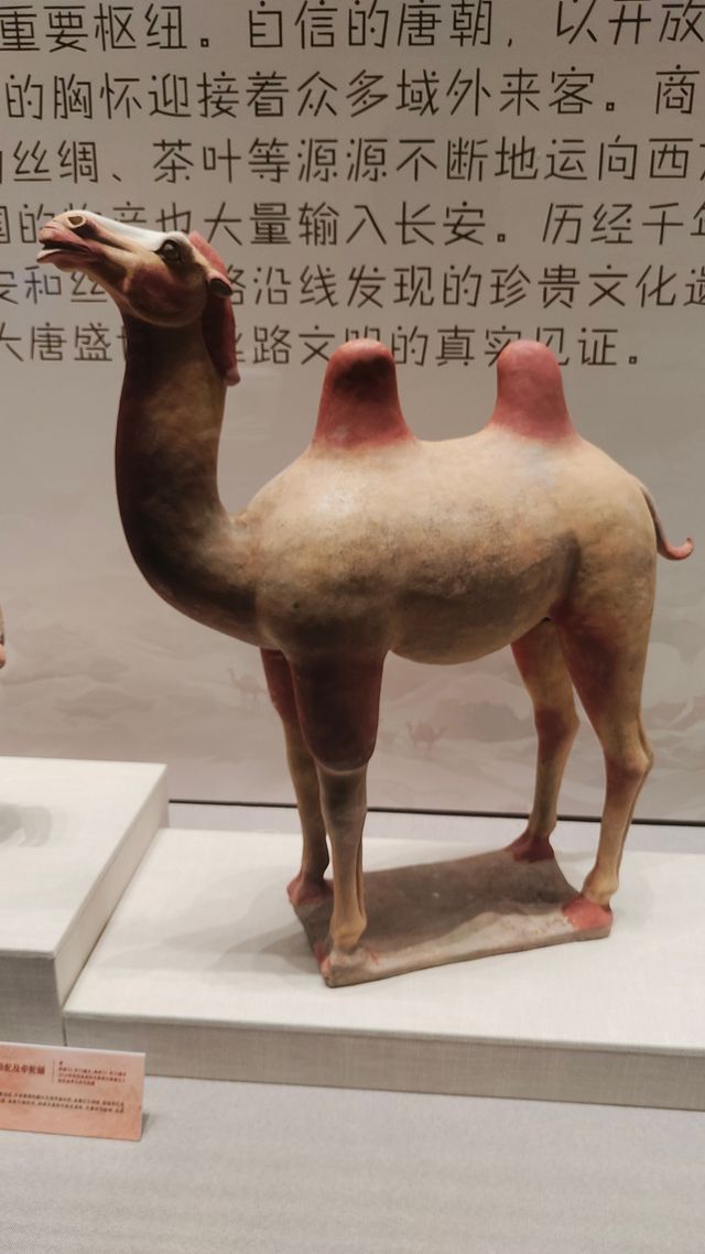 珠海博物館。