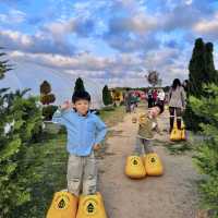 Water Drinker Family Farm And Garden